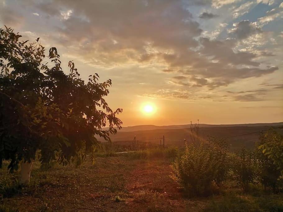 Dimitra'S Sunny Villa Mirsinochori ภายนอก รูปภาพ